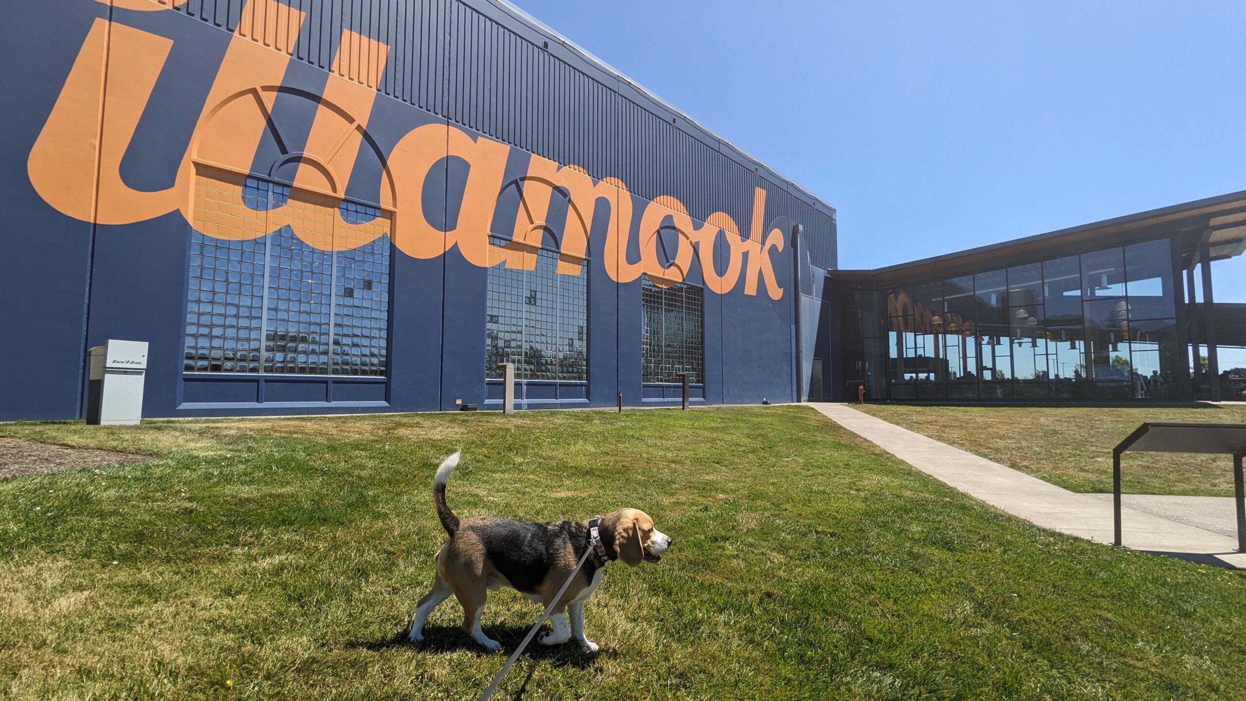 Visiting the Tillamook Creamery: A Dairy Lover’s Dream