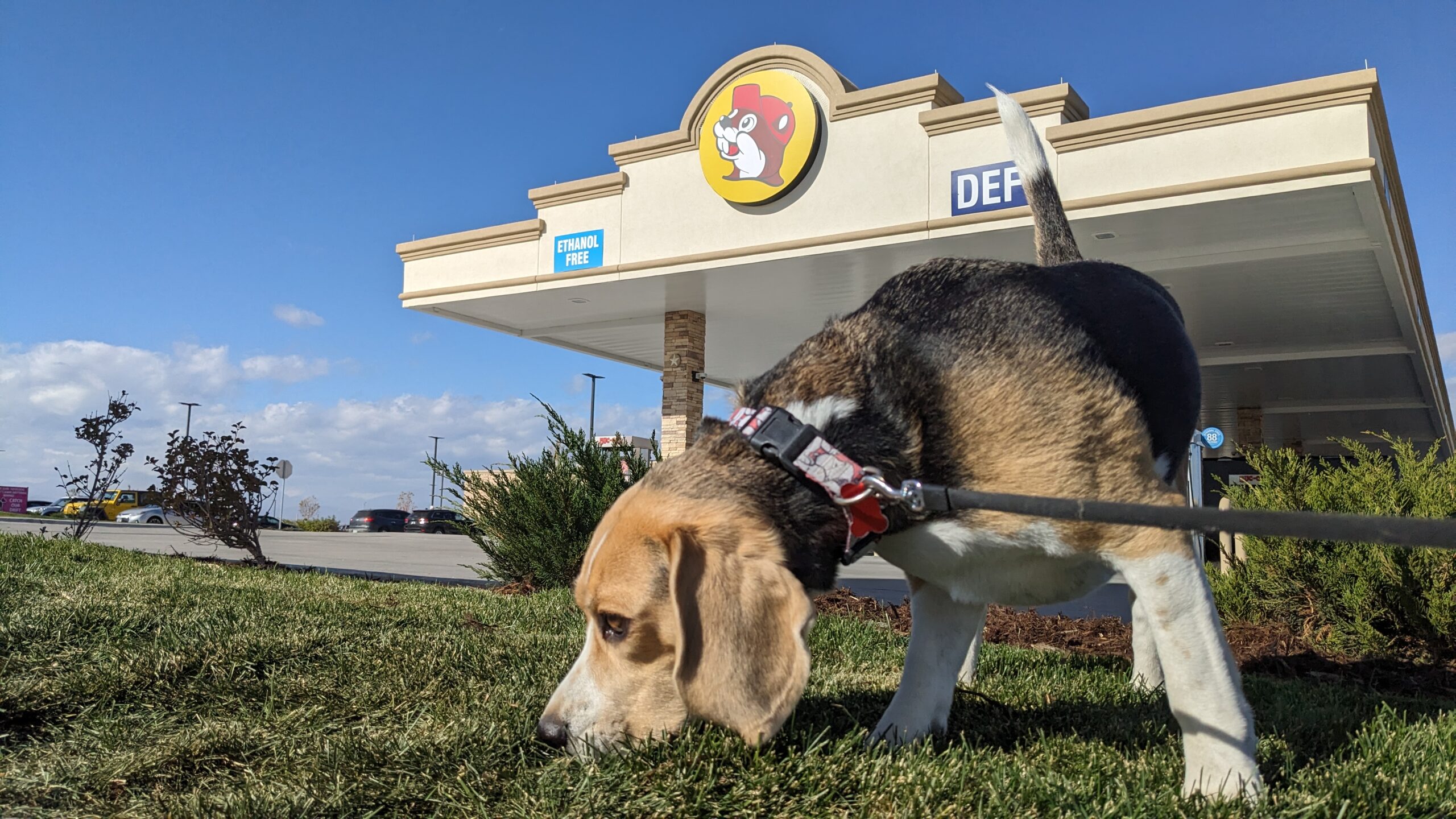 Buc-ee’s Gas Stations: Our Favorite Stop on the Ultimate American Road Trip